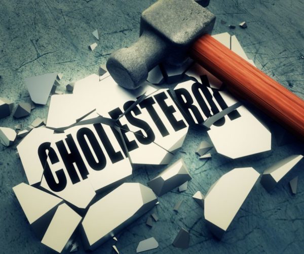 Don’t Worry About Cholesterol